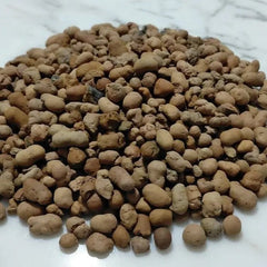 Coarse 10–20 mm LECA clay pebbles for large terrariums and plant containers