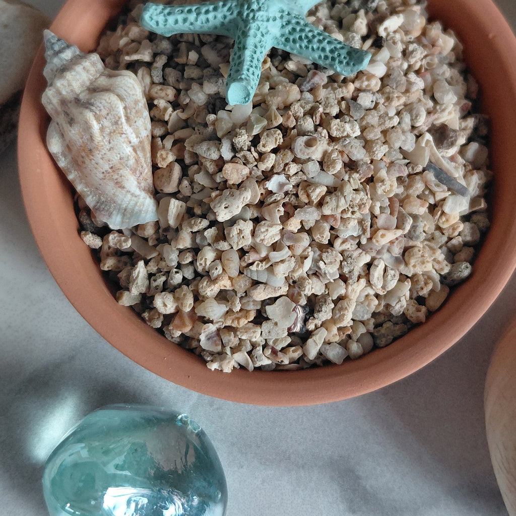 Terracotta pot with decorative stones, a shell, and a starfish on a marble surface.