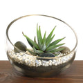 Glass terrarium with succulents on a wooden surface