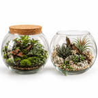 Round Glass Terrarium Container with Cork Stopper