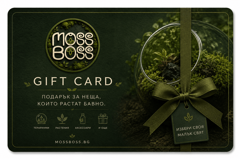 Moss Boss gift card with a decorative glass container and green ribbon on a dark background.