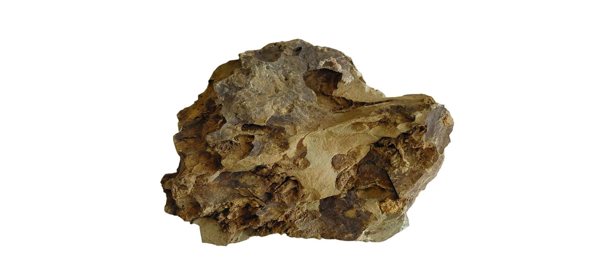 Tiger big stone for terrariums