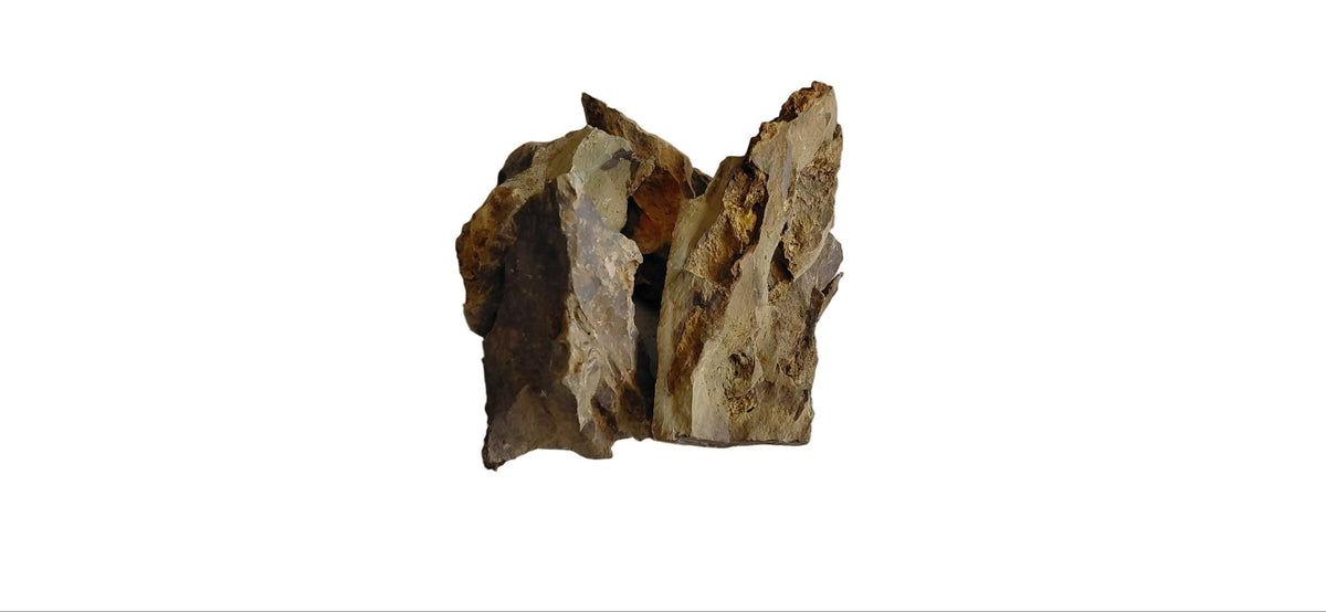 Tiger rock for terrariums