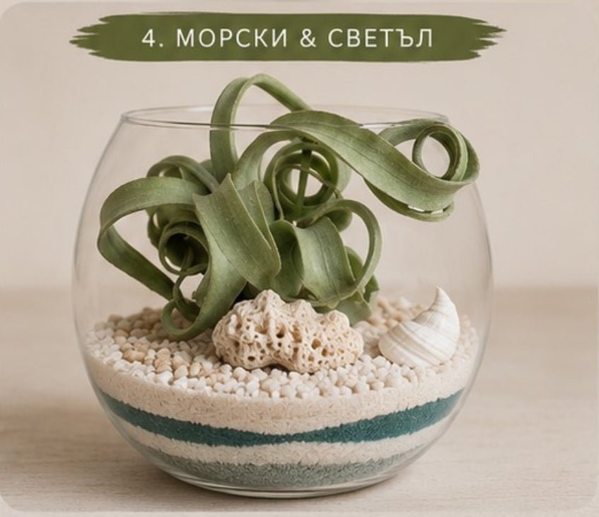 Glass terrarium with green plant, coral, and pebbles on a beige background