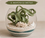 Glass terrarium with green plant, coral, and pebbles on a beige background