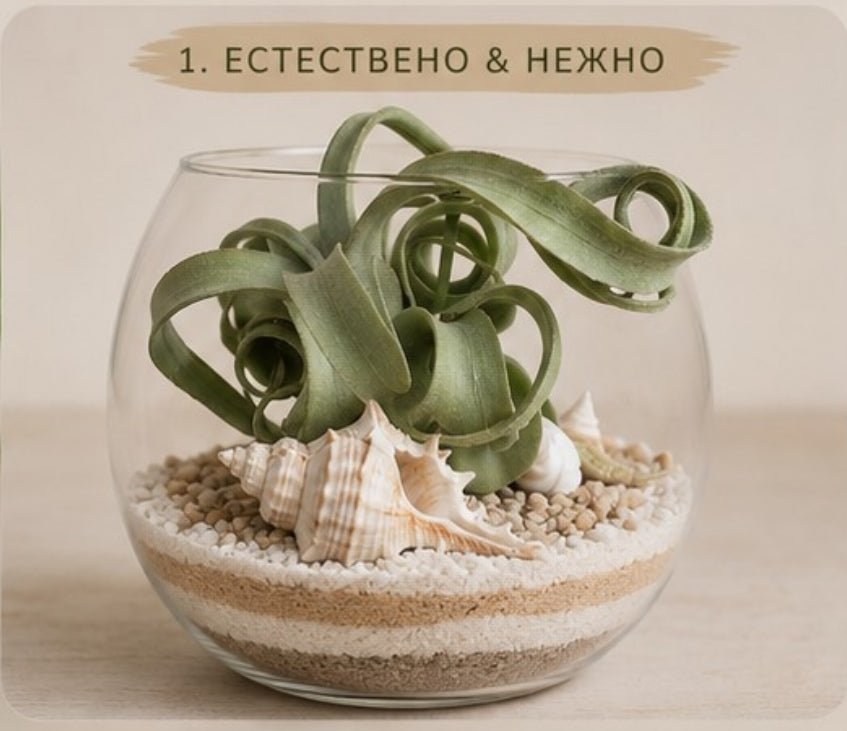 Glass terrarium with green plant, seashells, and sand on a beige background