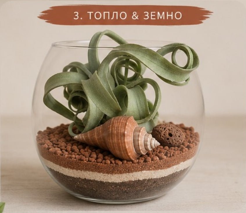 Glass terrarium with plants, shells, and pebbles on a neutral background