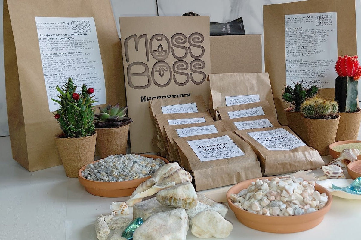 Table with cacti, rocks, and packaged products with 'Moss & Stone' branding.