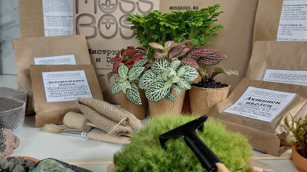 Gardening supplies including plants, pots, and tools on a table with branded boxes in the background.