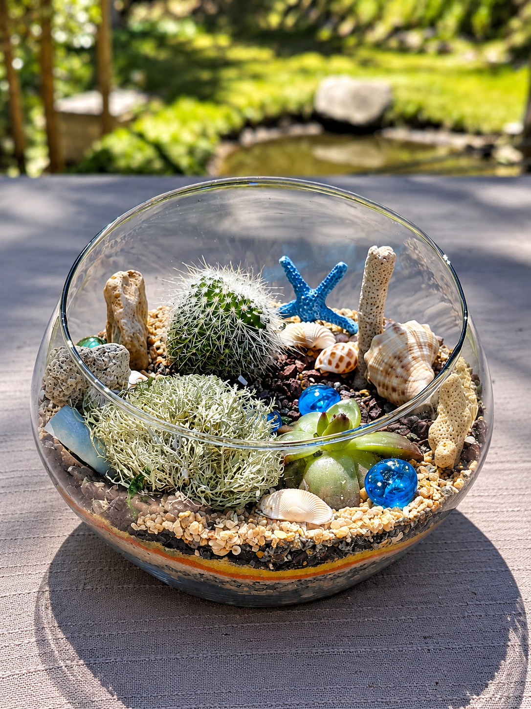 MossBoss open terrarium with cactus, succulent, lichen, shells, stones and layered decorative gravel