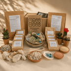 A styled product display of a moss care kit by Moss Boss, featuring brown paper bags of soil and nutrients, a central cardboard box with the Moss Boss logo, a glass bowl with a planted cactus, small potted cacti, rocks, pebbles, and bowls of growing media, all arranged on a beige surface under warm, dappled sunlight.