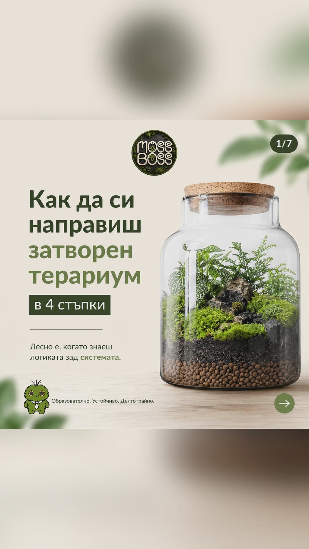 Как да си направиш терариум в  4 стъпки
