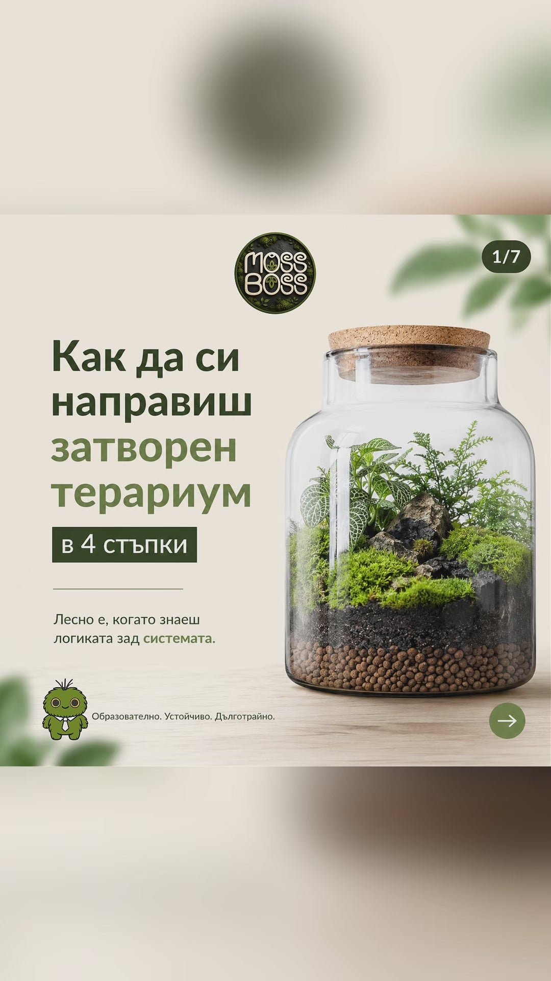 Как да си направиш терариум в  4 стъпки