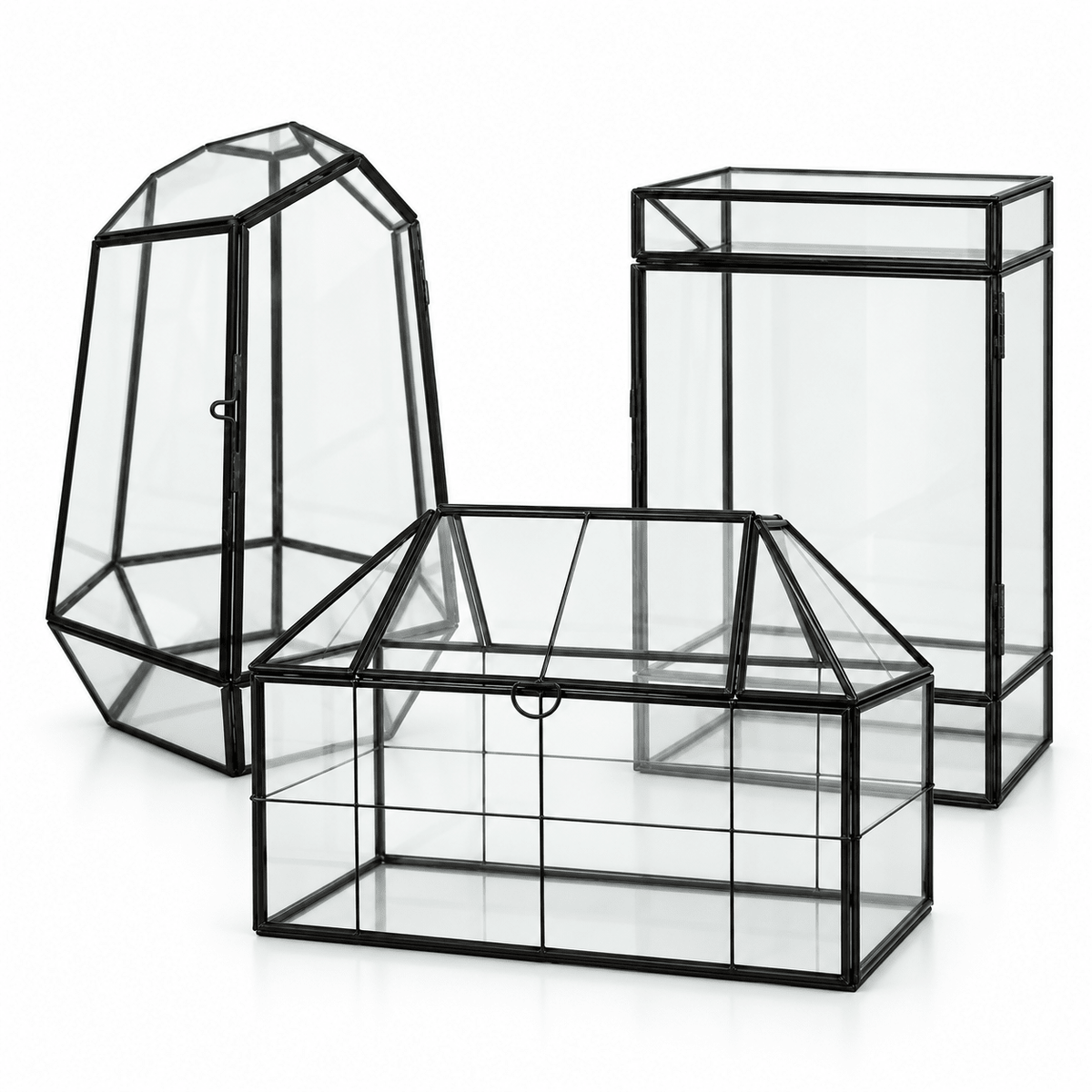 Three geometric glass terrariums with black metal frames – MossBoss