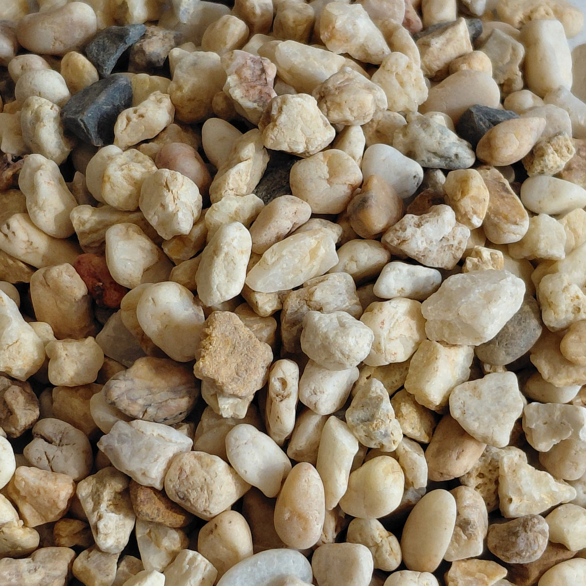 Small pebbles on a white background