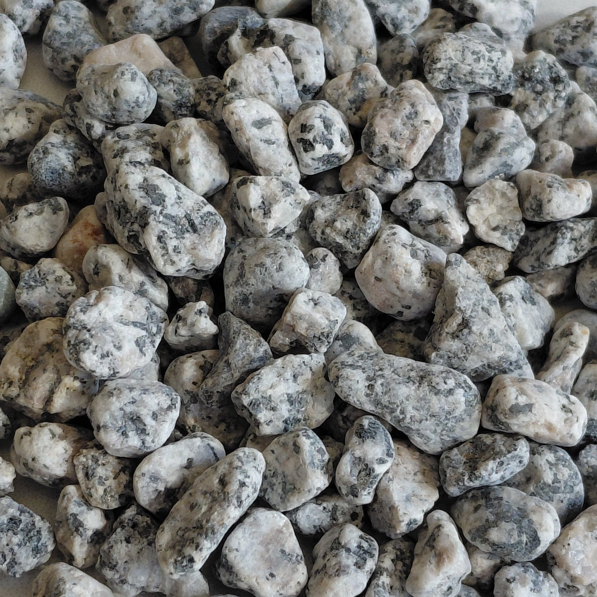 Grey decorative mosaic, 6–8 mm, for terrariums
