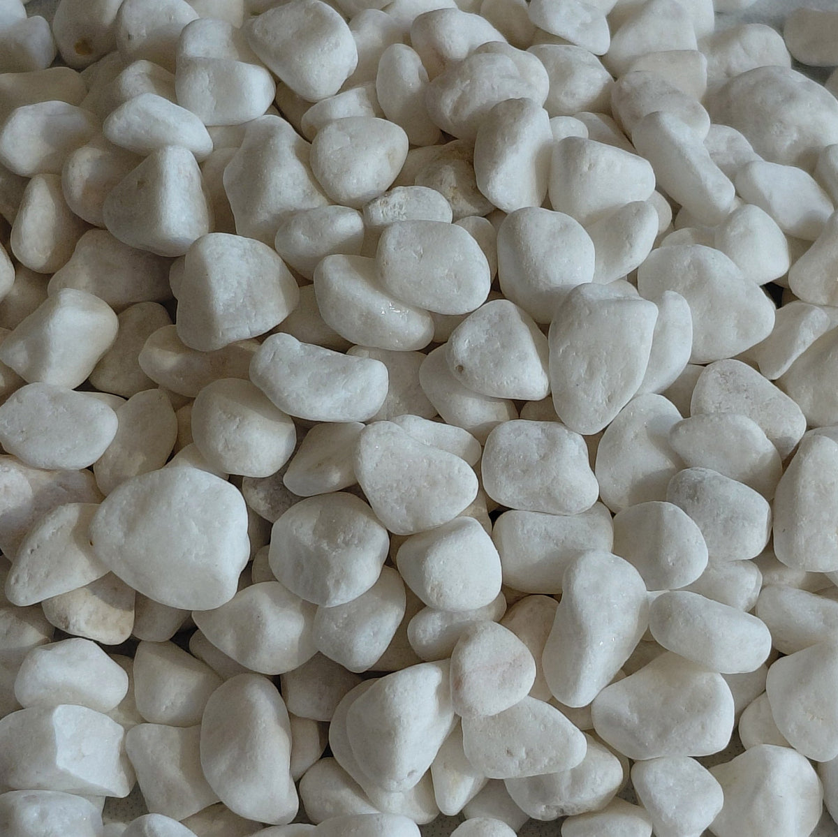 White decorative mosaic, 6–8 mm, for terrariums