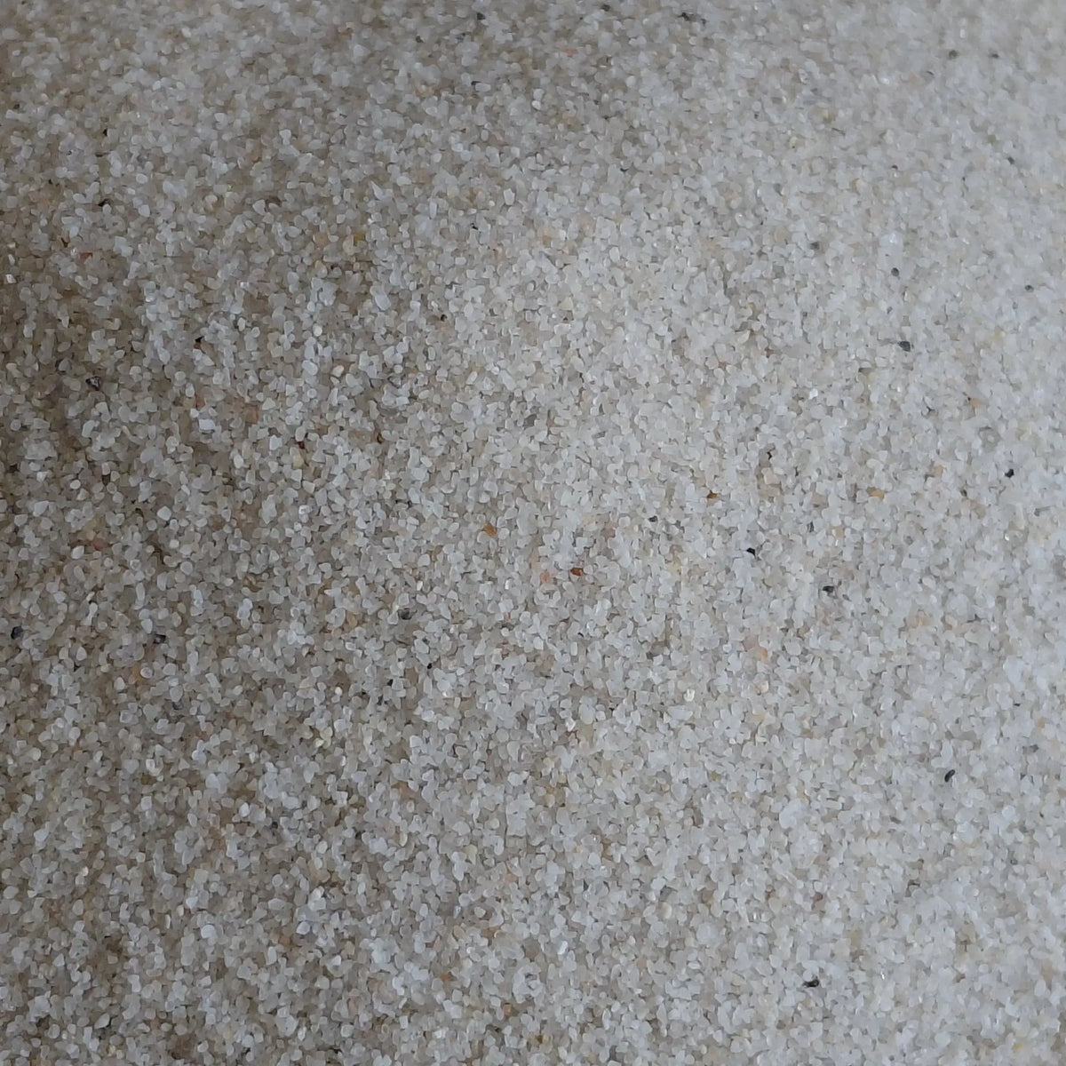 Close-up white sand- for terrariums