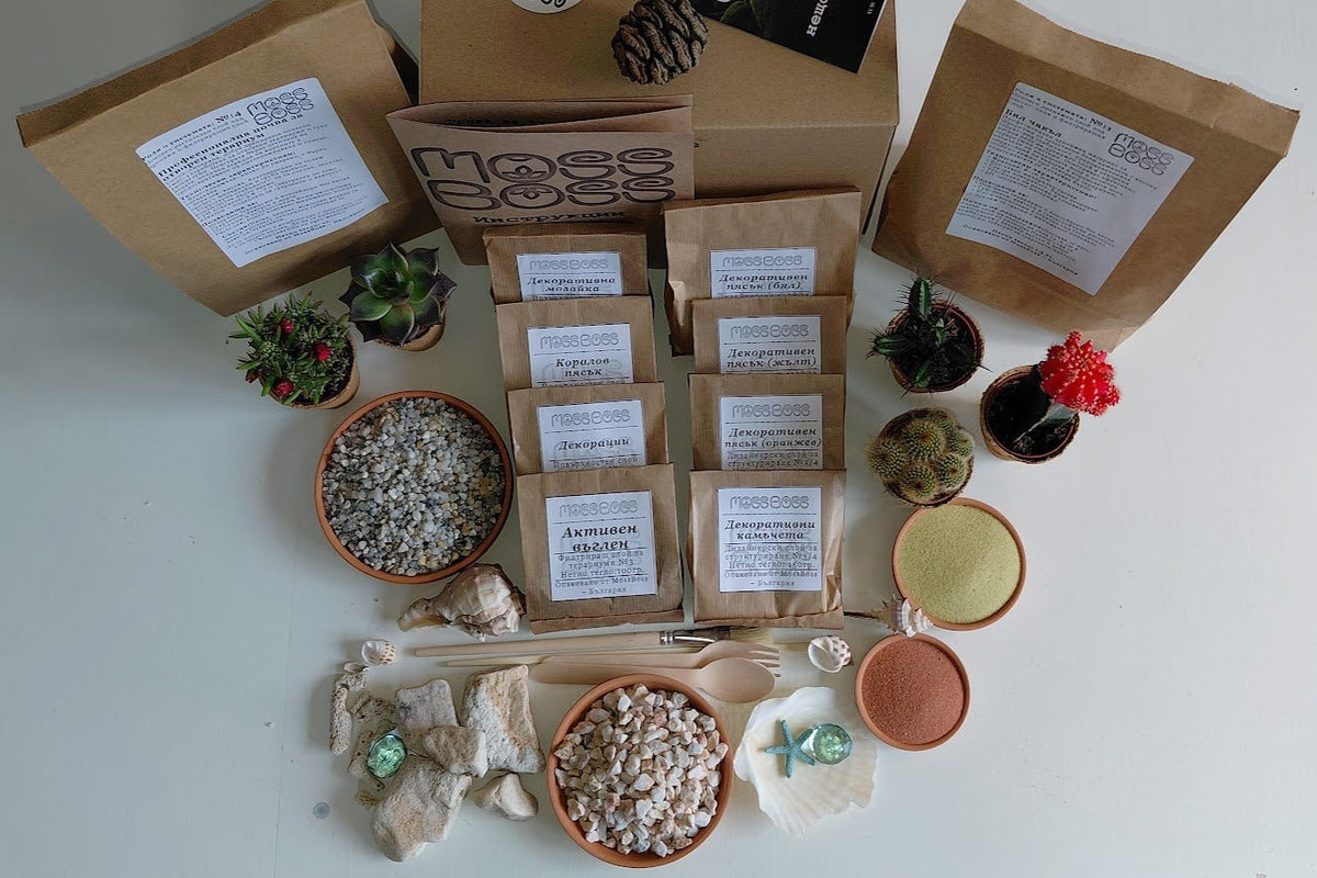 Collection of plants, pots, and packaging on a white surface